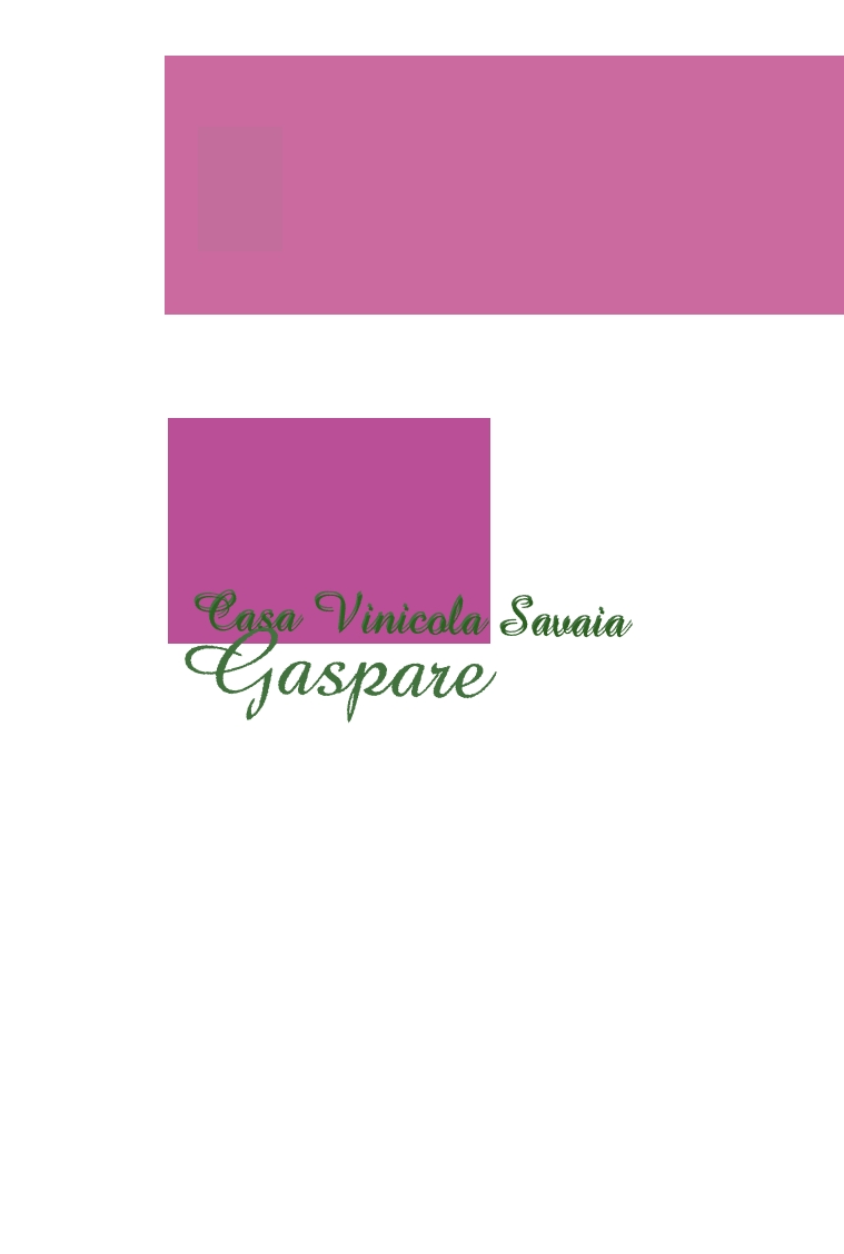 Casa Vinicola Savaia Gaspare