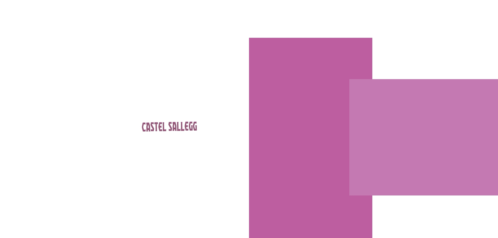 logo Castel Sallegg
