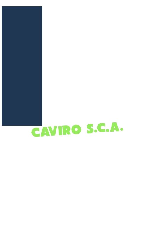 Caviro S.c.a.
