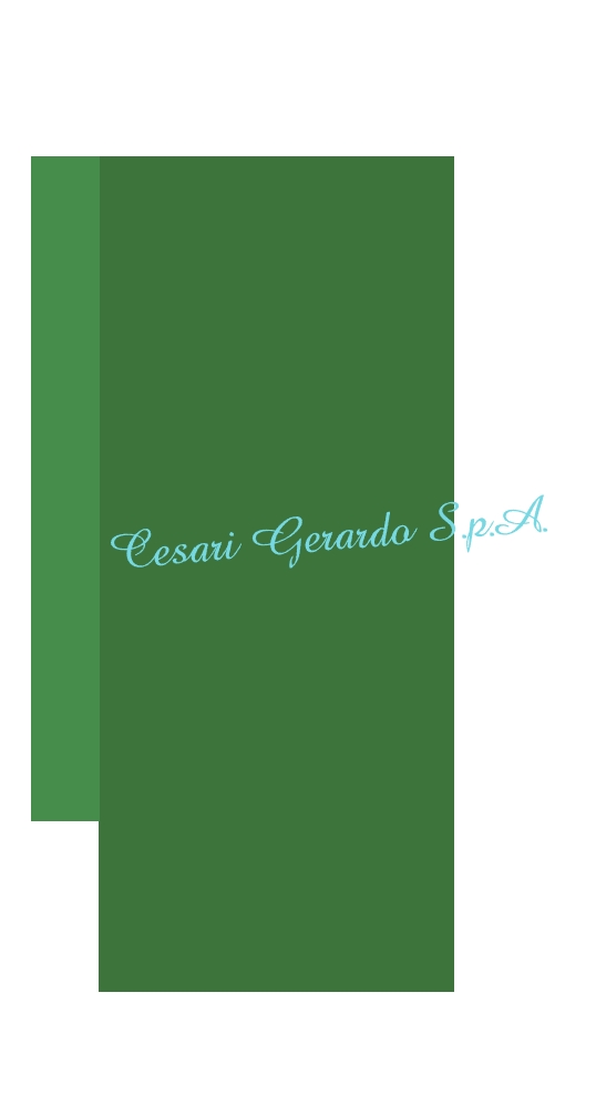 Cesari Gerardo S.p.A.