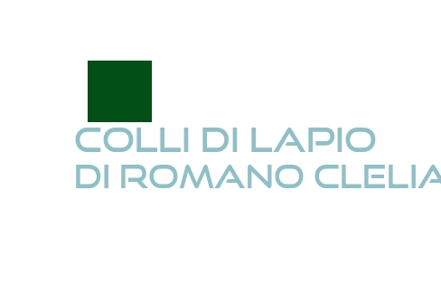 Colli di Lapio di Romano Clelia