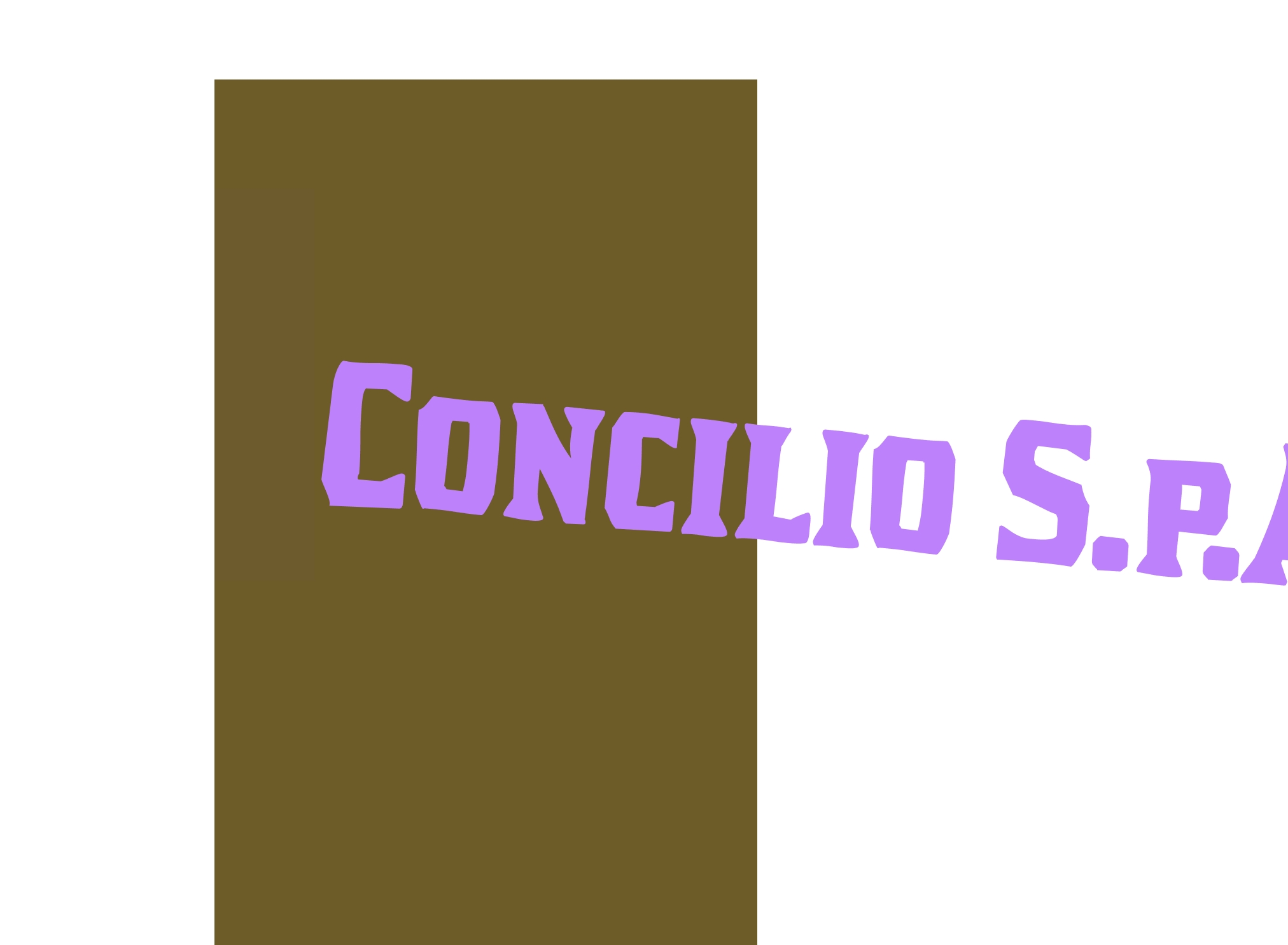 Concilio S.p.A. Concilio S.p.A.