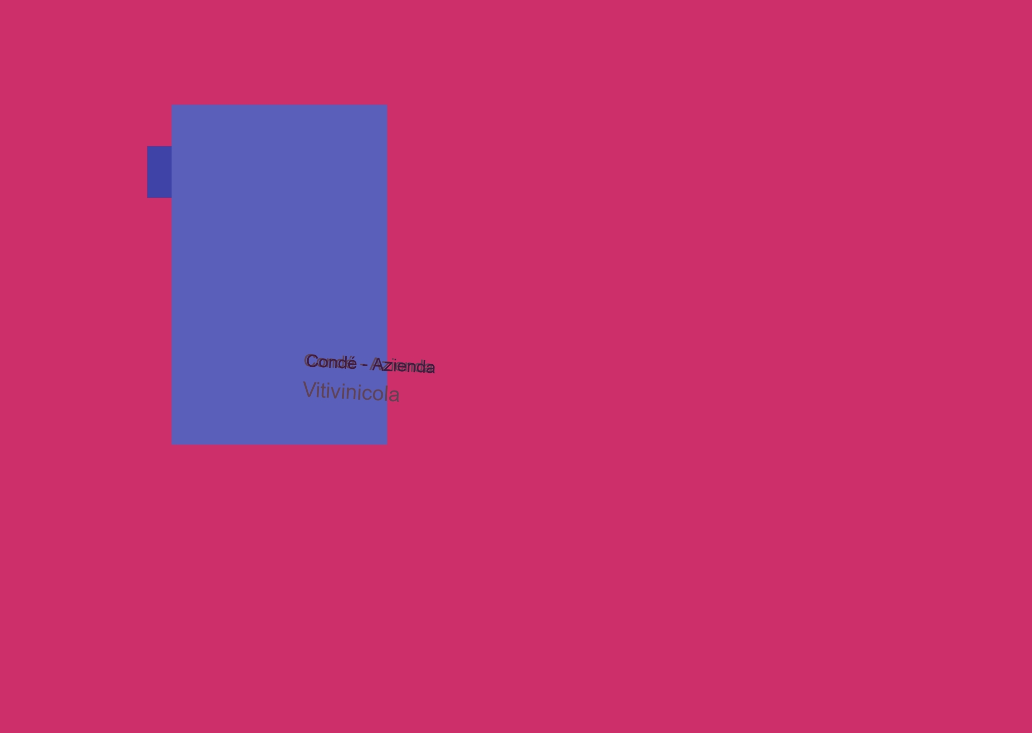 Condé - Azienda Vitivinicola