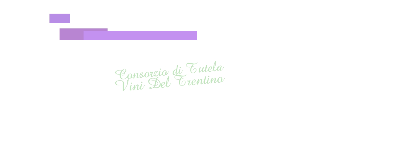 Consorzio di Tutela Vini Del Trentino