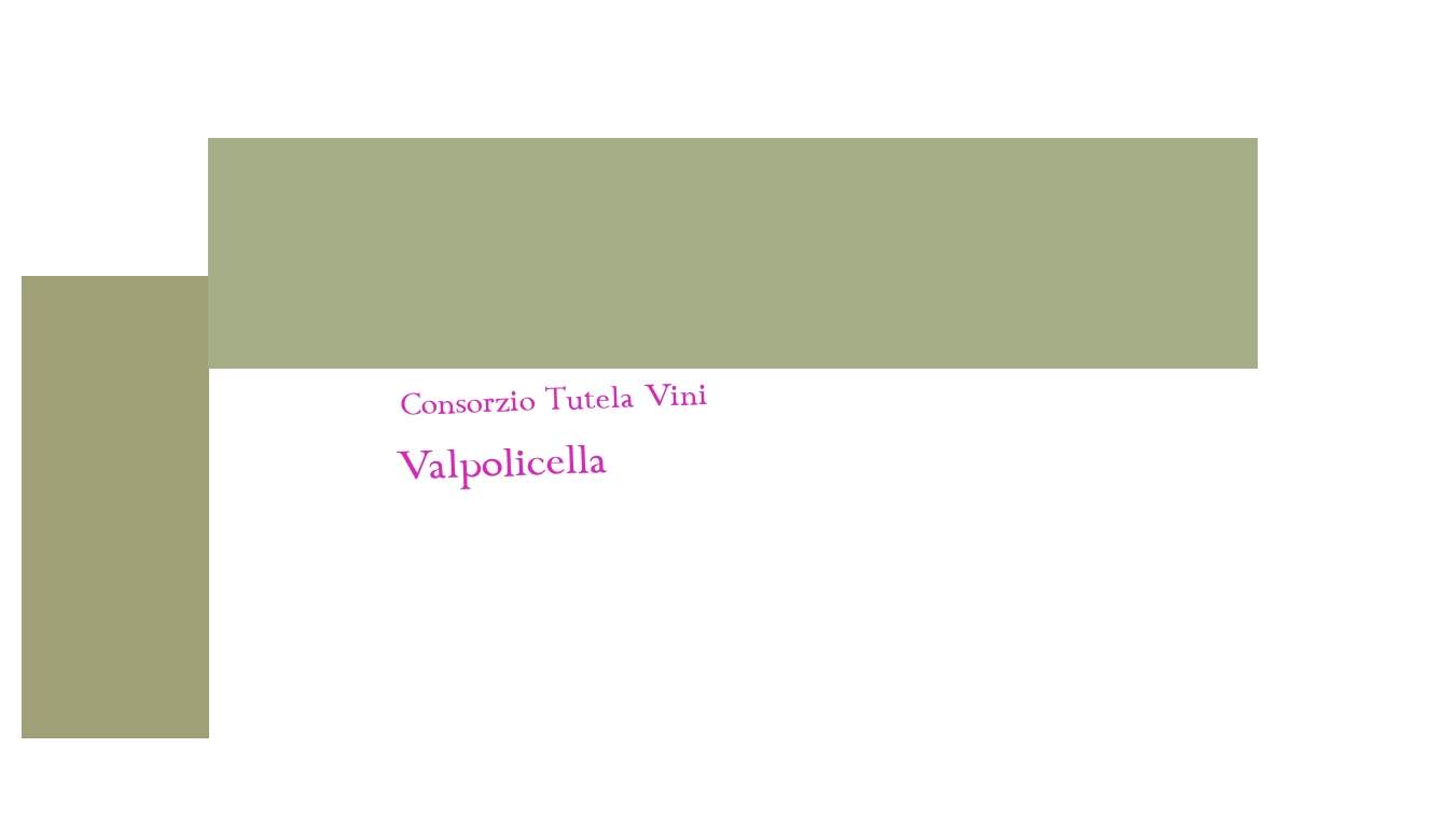 logo Consorzio Tutela Vini Valpolicella