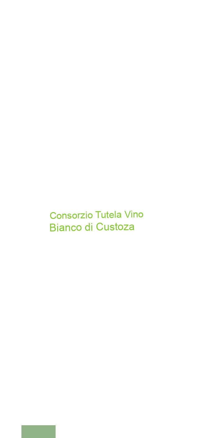 logo Consorzio Tutela Vino Bianco di Custoza