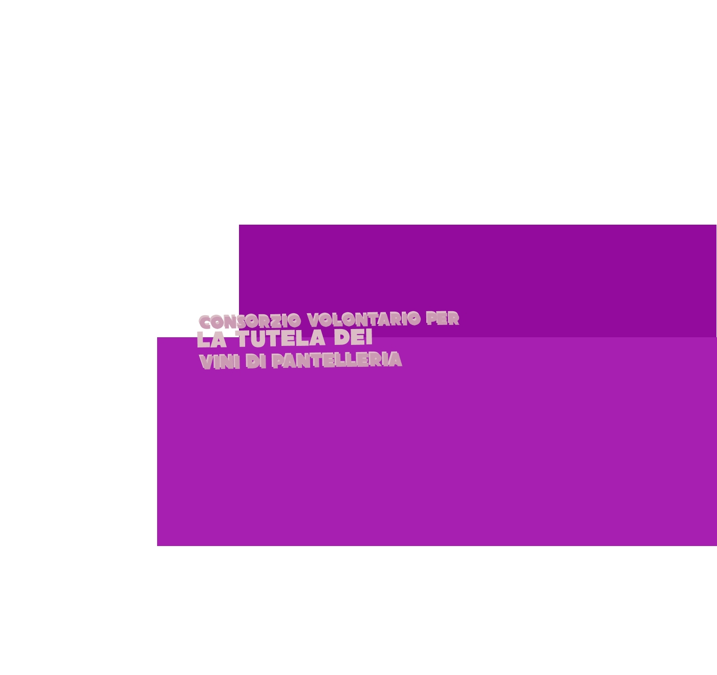 Consorzio Volontario per La Tutela dei Vini di Pantelleria