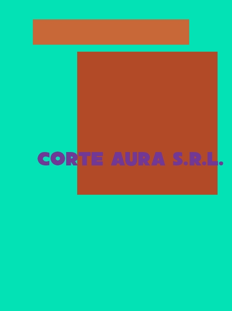 Corte Aura S.r.l.