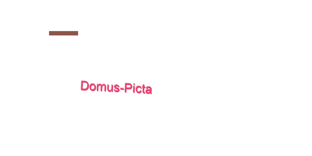 Domus-Picta