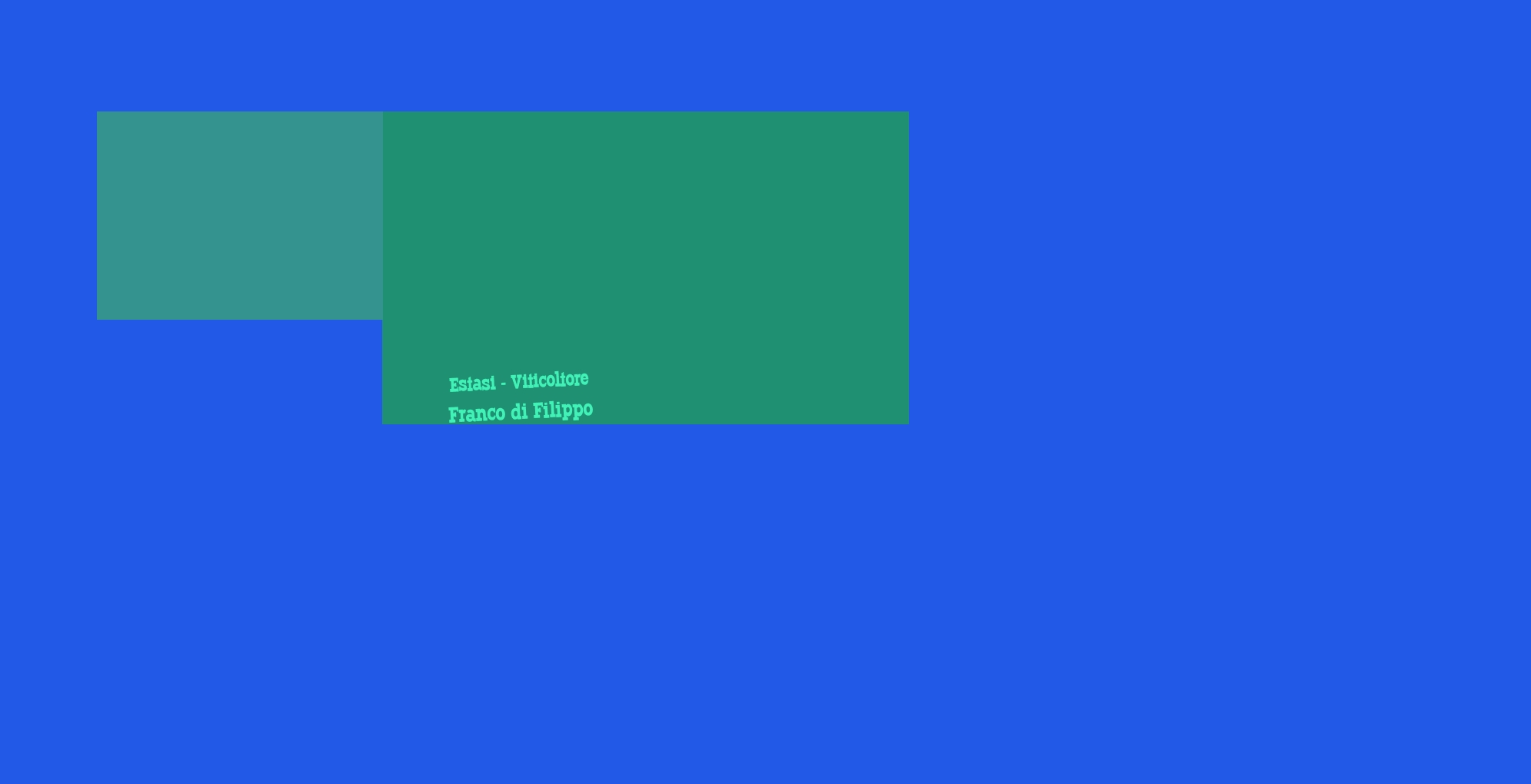 Estasi - Viticoltore Franco di Filippo Estasi - Viticoltore Franco di Filippo