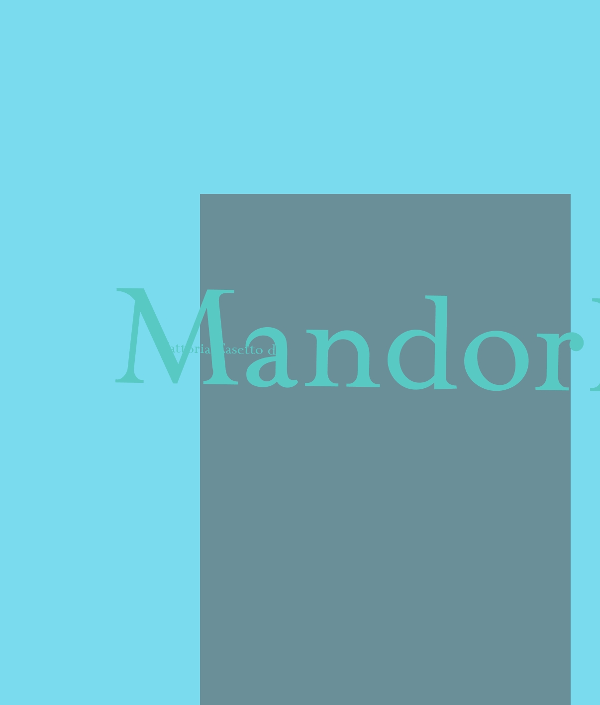 Fattoria Casetto dei Mandorli Fattoria Casetto dei Mandorli