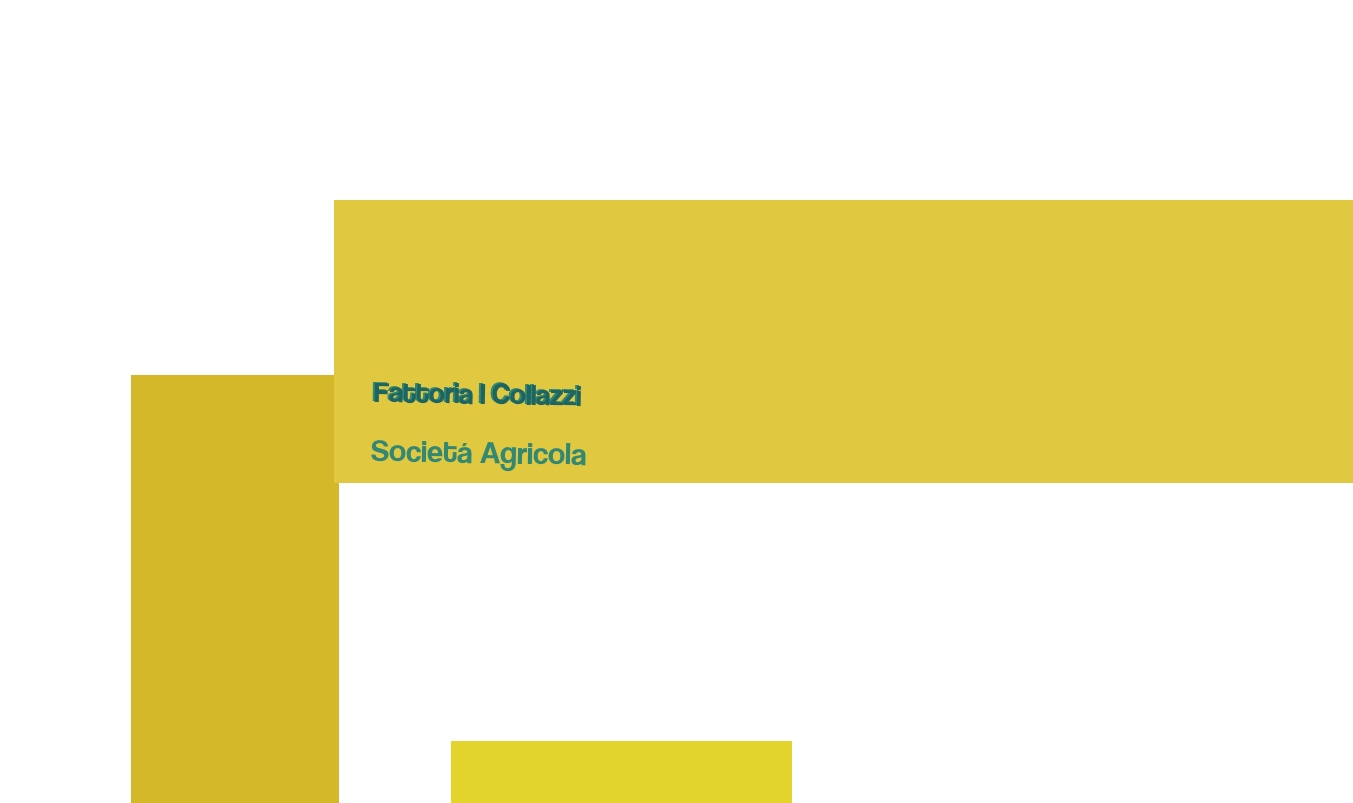 Fattoria I Collazzi Societá Agricola
