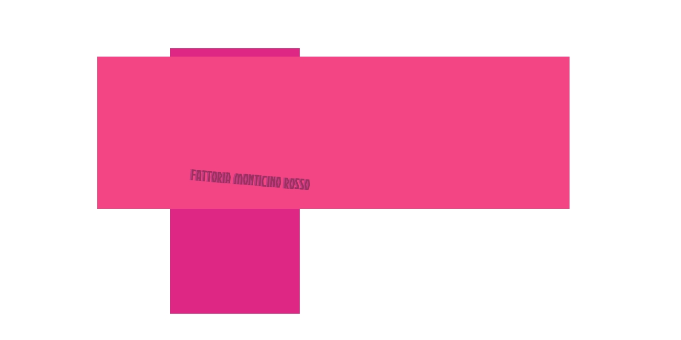 Fattoria Monticino Rosso
