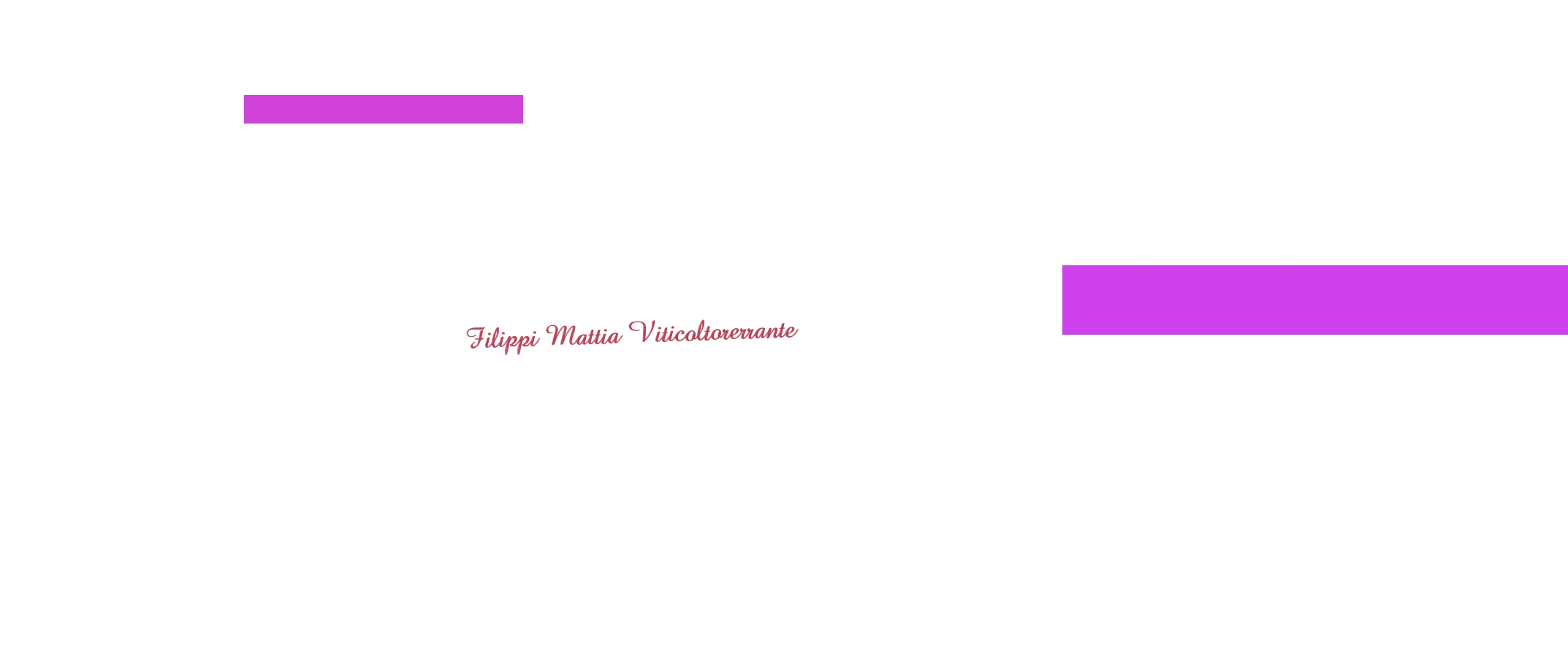 Filippi Mattia Viticoltorerrante