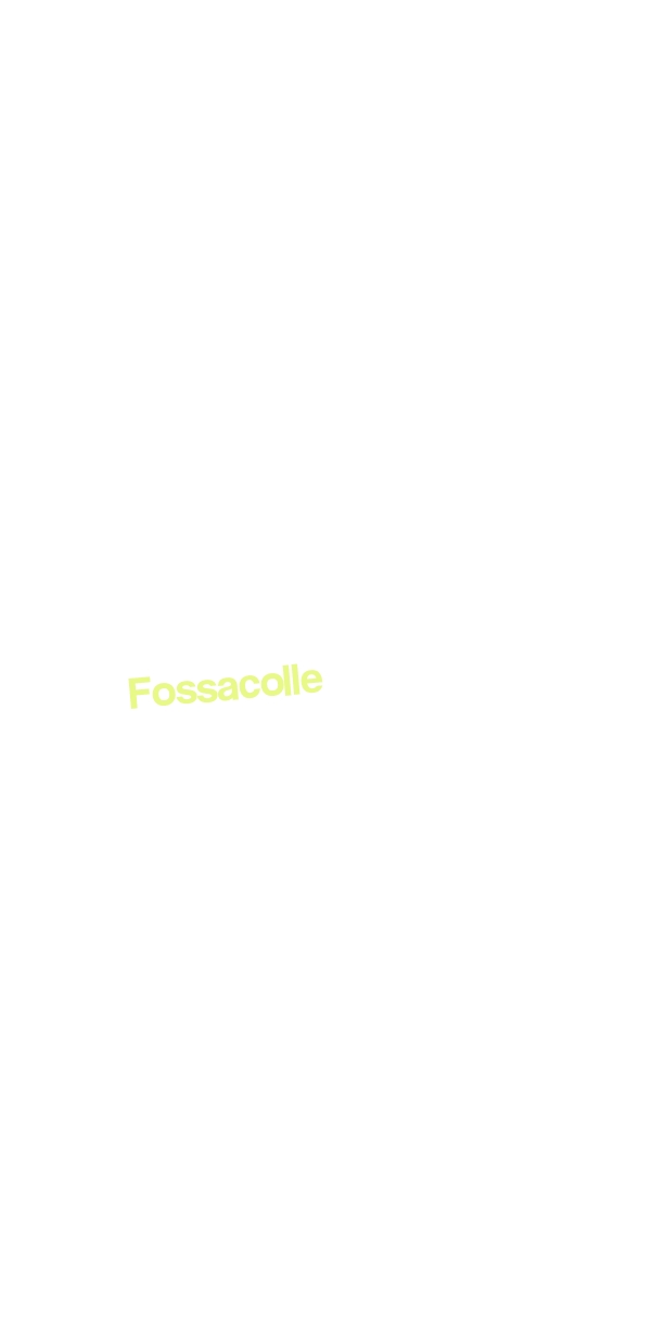 Fossacolle