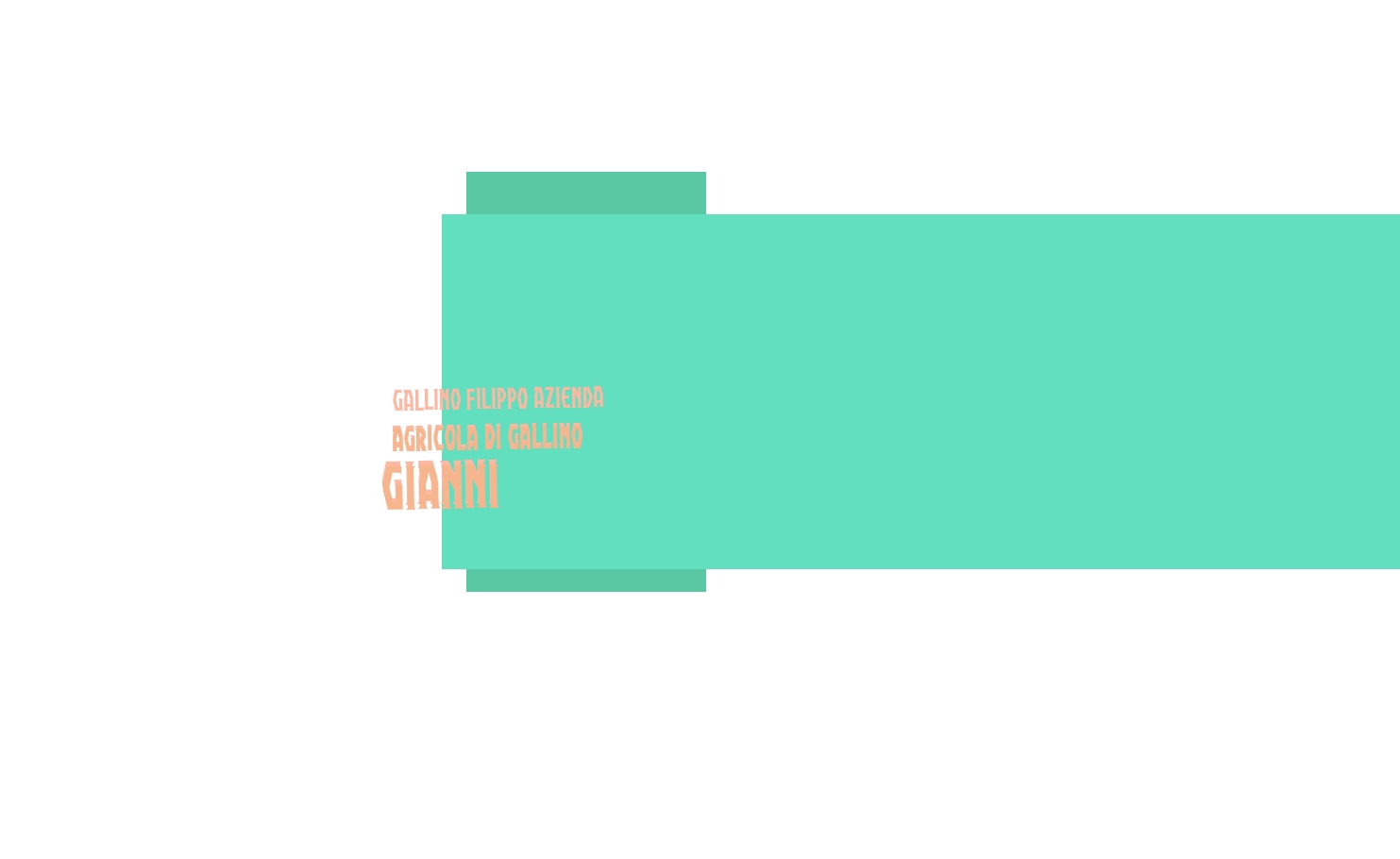 Gallino Filippo Azienda Agricola di Gallino Gianni Gallino Filippo Azienda Agricola di Gallino Gianni