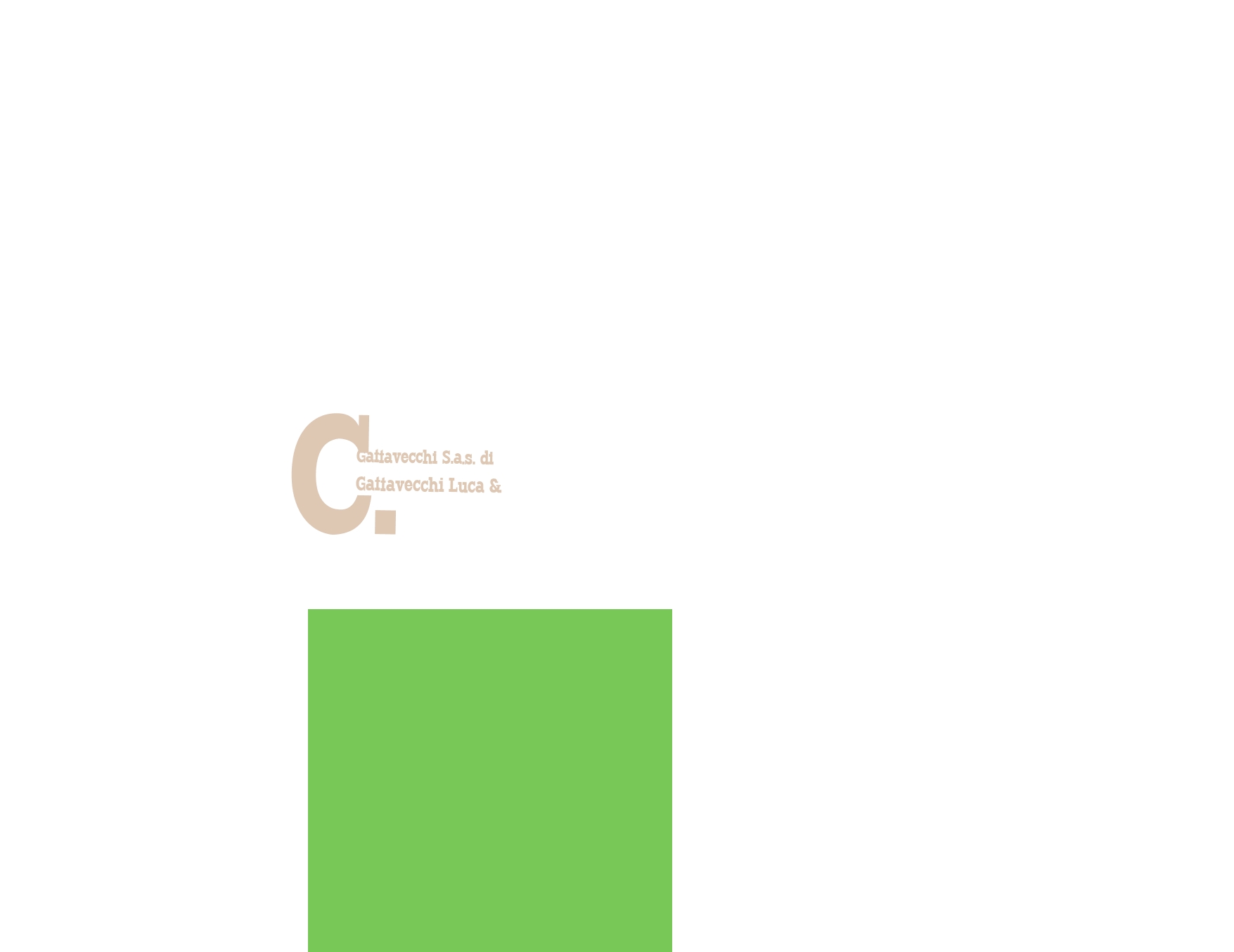 Gattavecchi S.a.s. di Gattavecchi Luca & C.