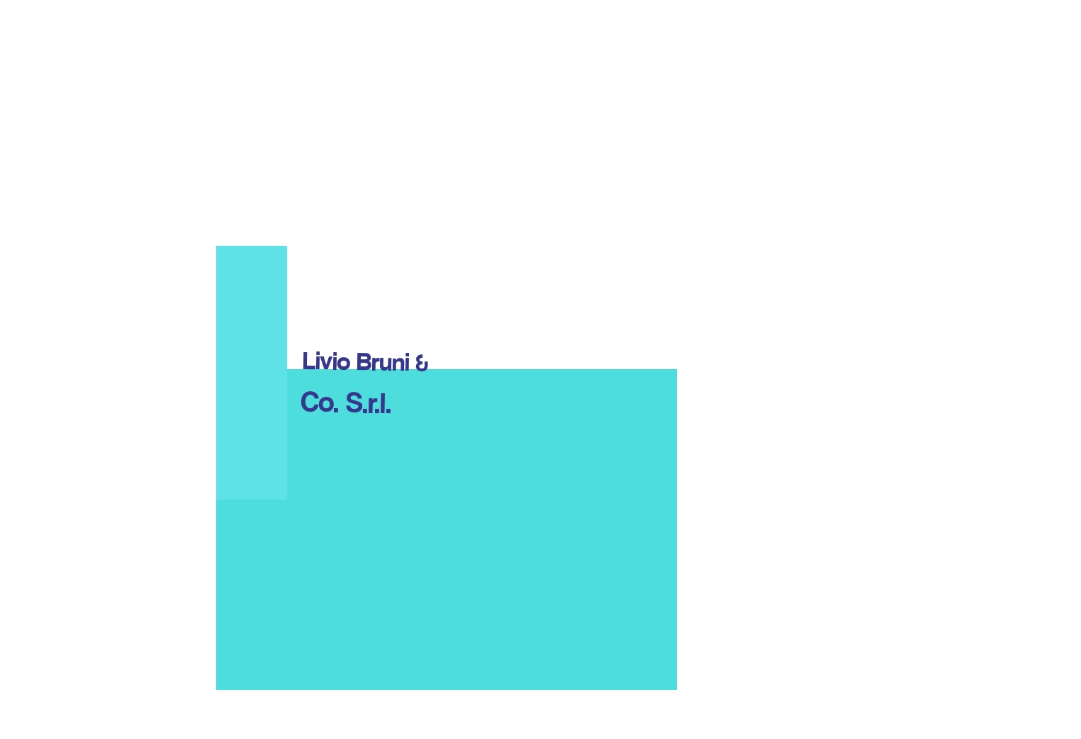 Livio Bruni & Co. S.r.l. Livio Bruni & Co. S.r.l.