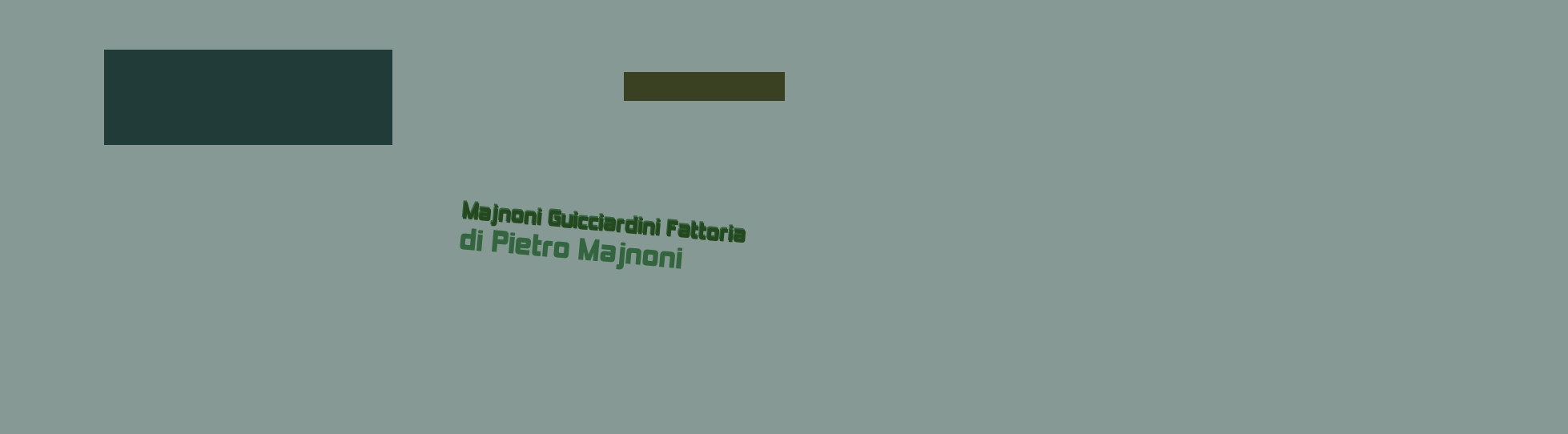 Majnoni Guicciardini Fattoria di Pietro Majnoni