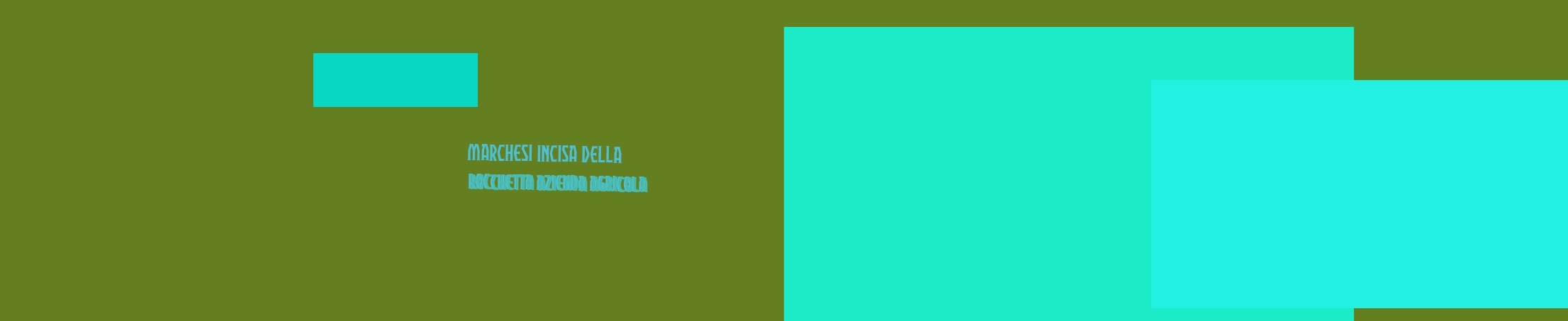 Marchesi Incisa della Rocchetta Azienda Agricola