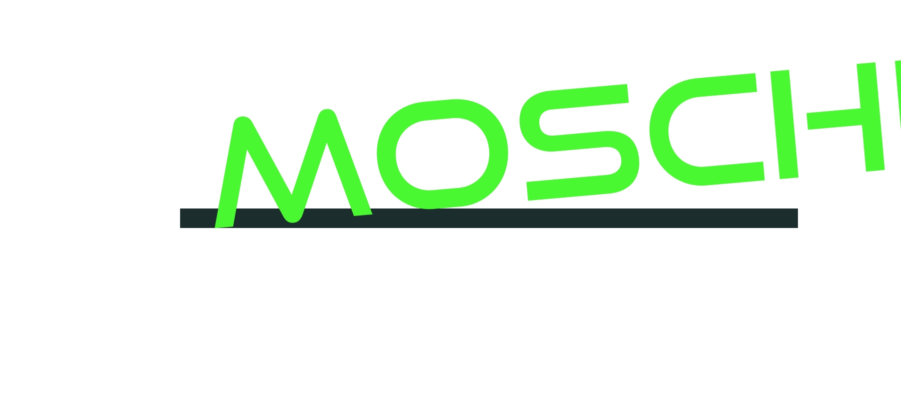 logo Moschioni