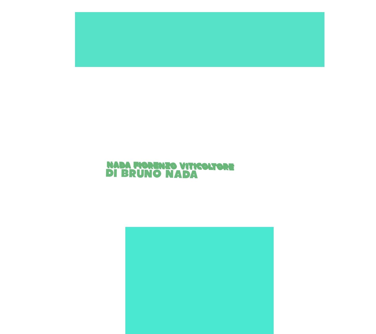 Nada Fiorenzo Viticoltore di Bruno Nada