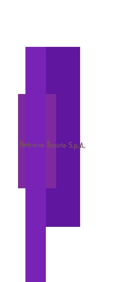 Neirano Tenute S.p.A.