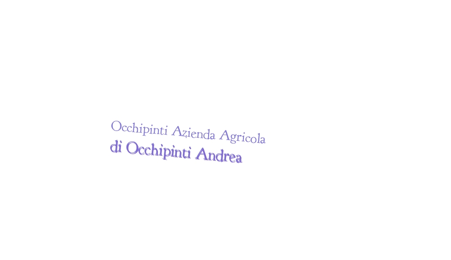 Occhipinti Azienda Agricola di Occhipinti Andrea Occhipinti Azienda Agricola di Occhipinti Andrea