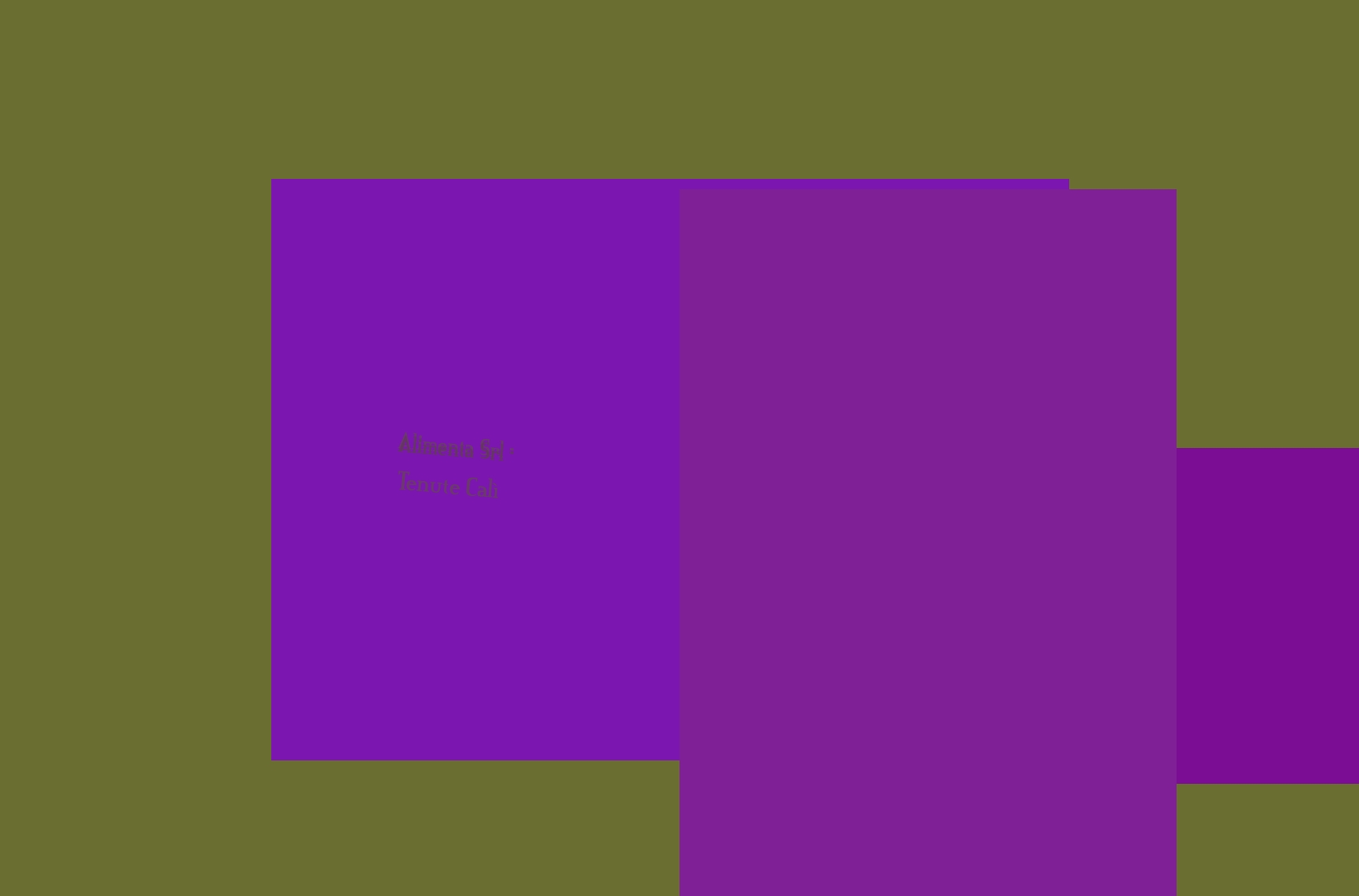 Alimenta Srl - Tenute Calì