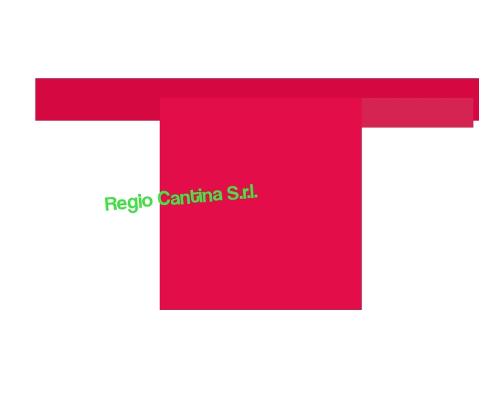 Regio Cantina S.r.l. Regio Cantina S.r.l.