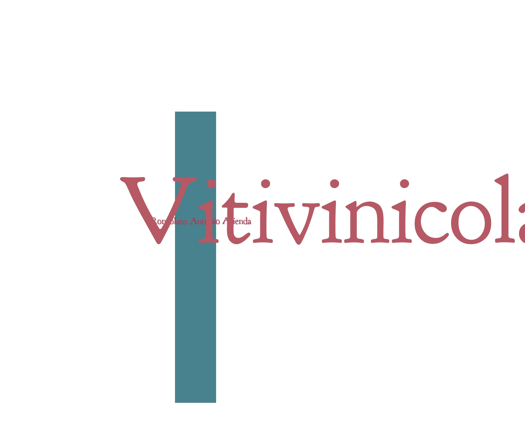 Roncolato Antonio Azienda Vitivinicola