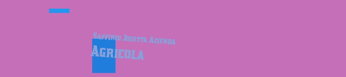 Saffirio Josetta Azienda Agricola