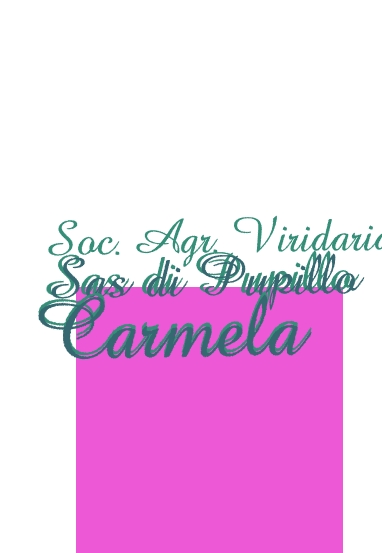 Soc. Agr. Viridaria Sas di Pupillo Carmela