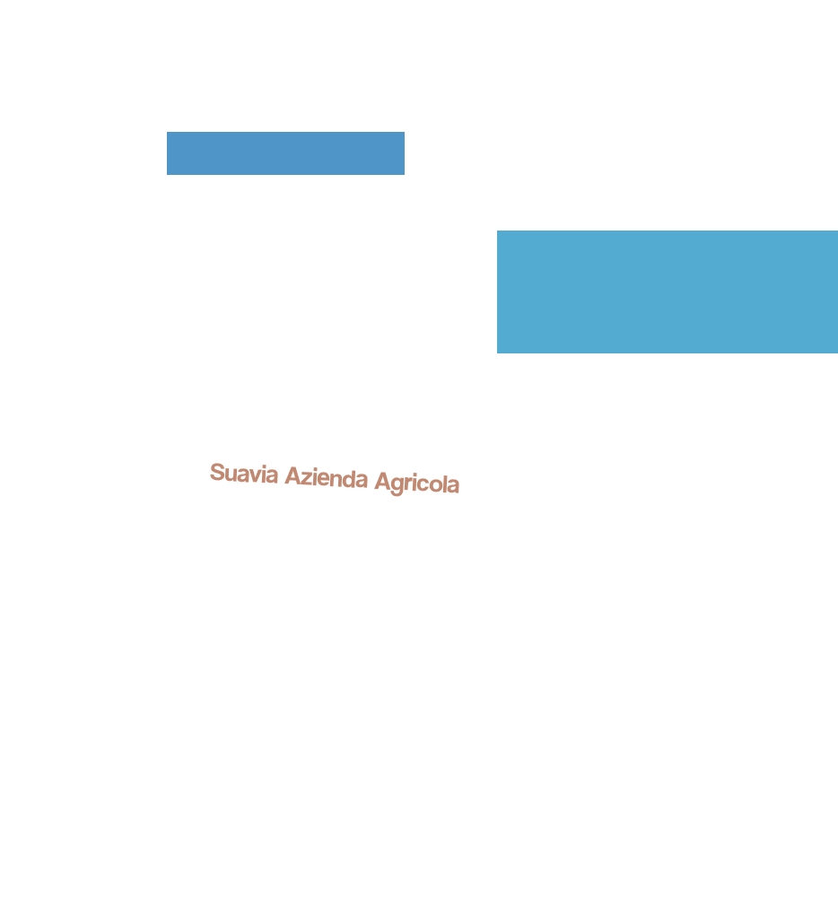 Suavia Azienda Agricola