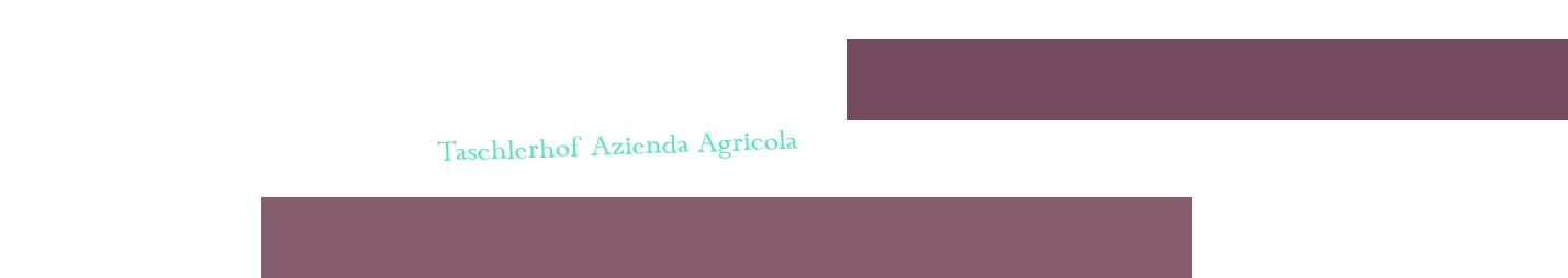 Taschlerhof Azienda Agricola Taschlerhof Azienda Agricola