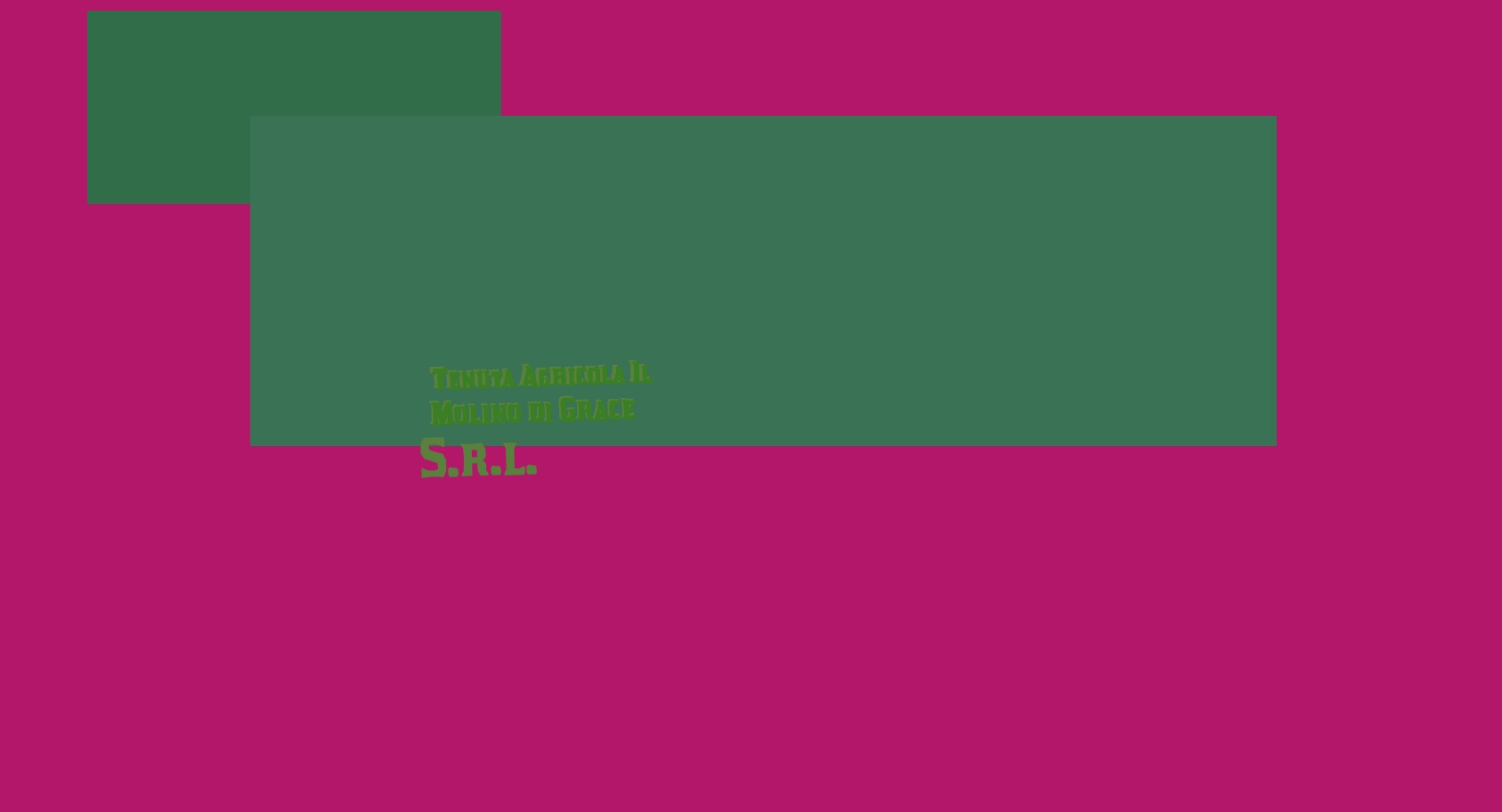 Tenuta Agricola Il Molino di Grace S.r.l.