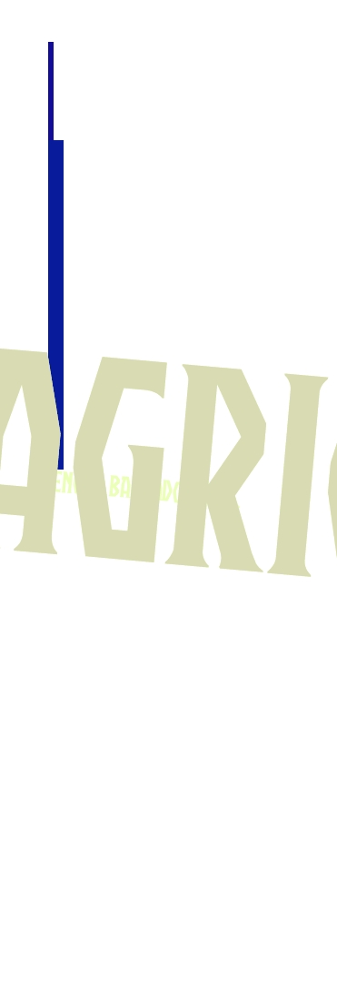 Tenuta Barbadoro S.S. Agricola