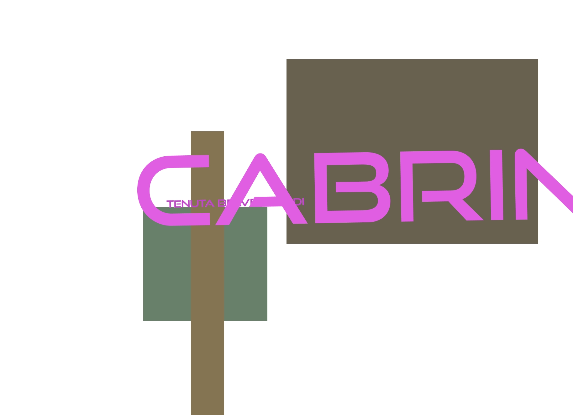 Tenuta Belvedere di Cabrini Gianluca