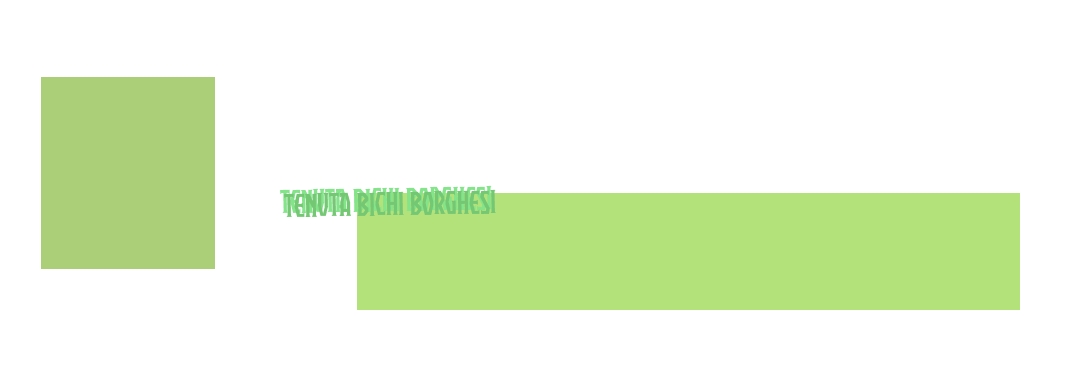 Tenuta Bichi Borghesi Tenuta Bichi Borghesi