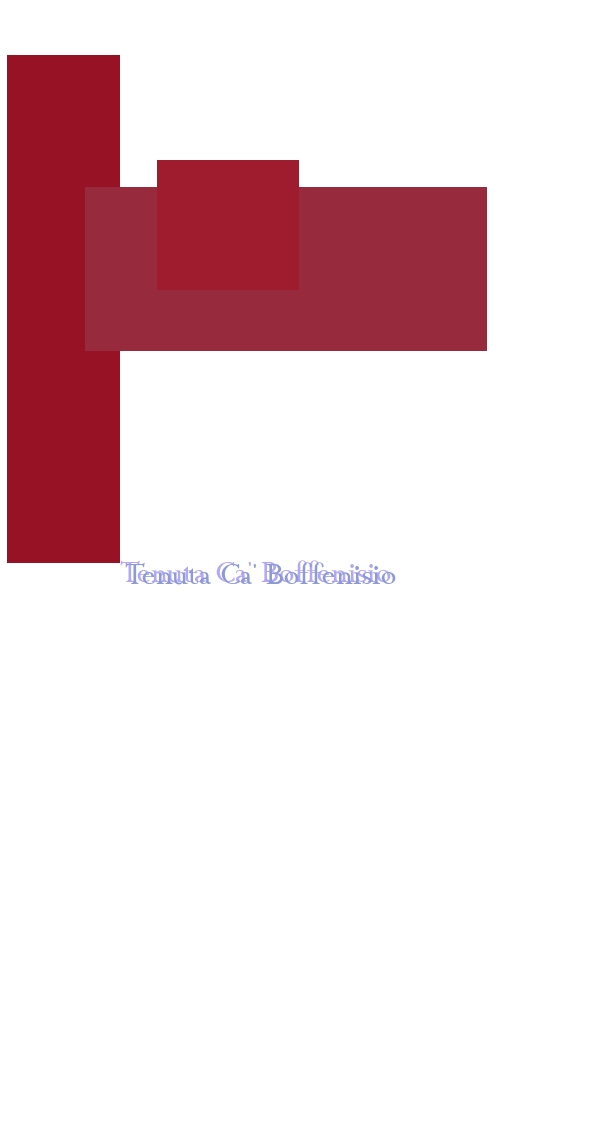 Tenuta Ca‘ Boffenisio Tenuta Ca‘ Boffenisio