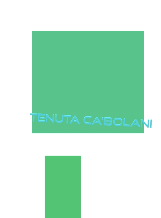 logo Tenuta Ca‘Bolani