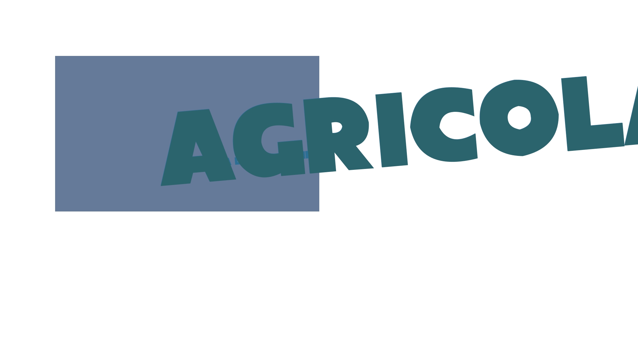 Tenuta Lenzini Società Agricola S.r.l.