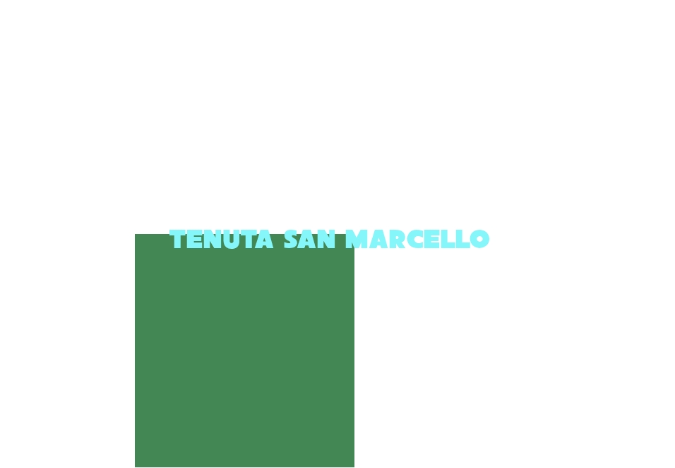 Tenuta San Marcello