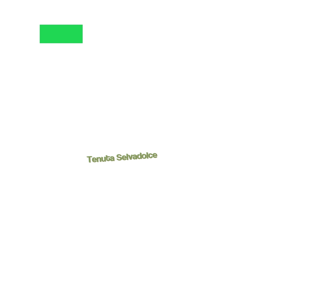 Tenuta Selvadolce
