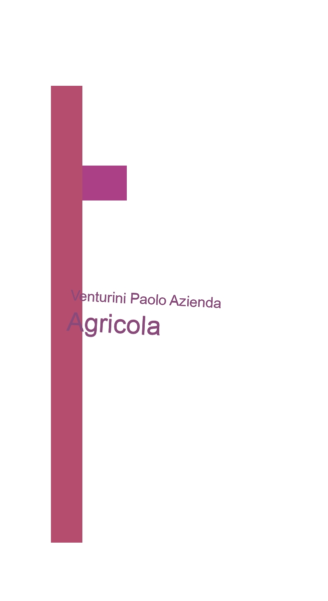 logo Venturini Paolo Azienda Agricola