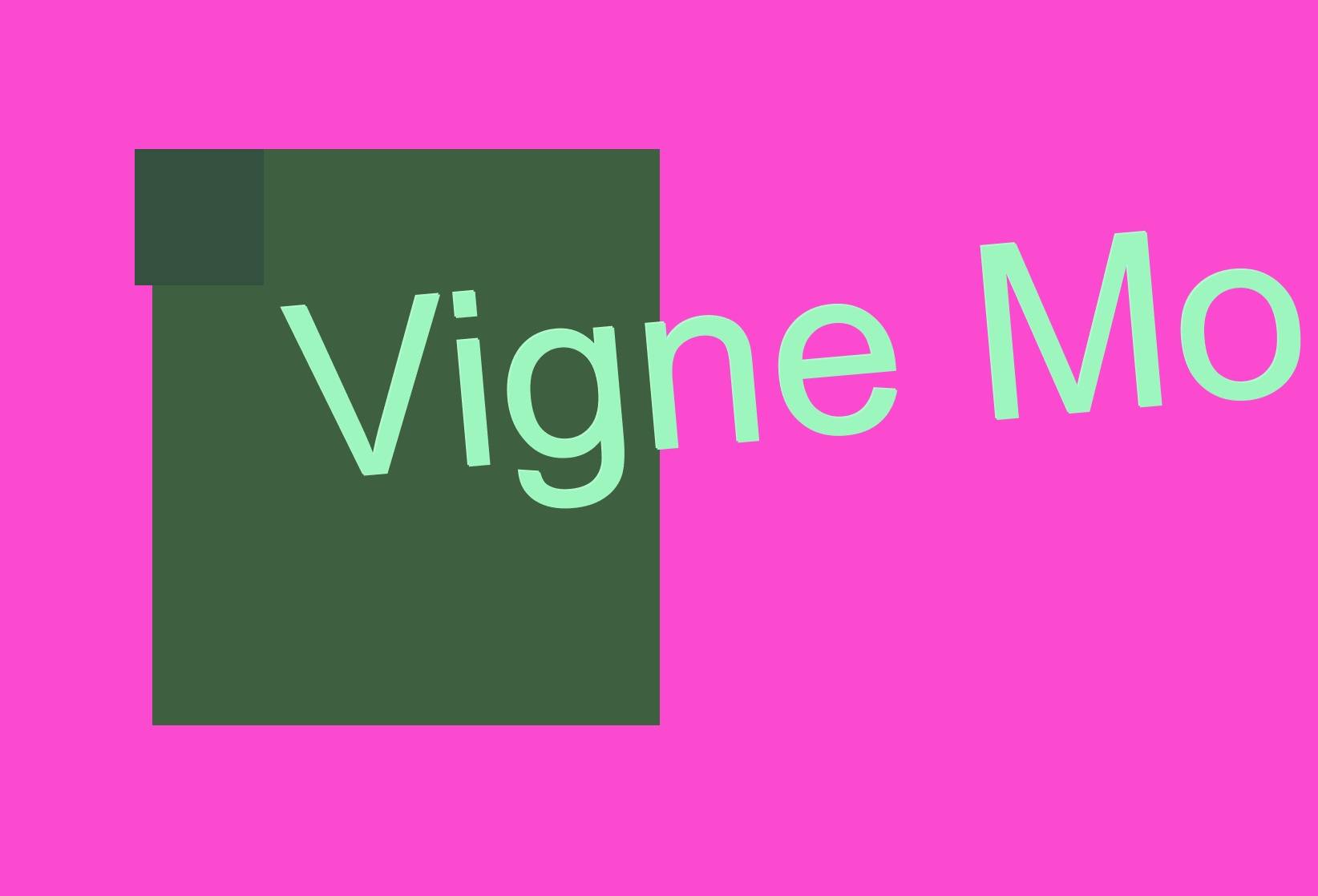 Vigne Monache