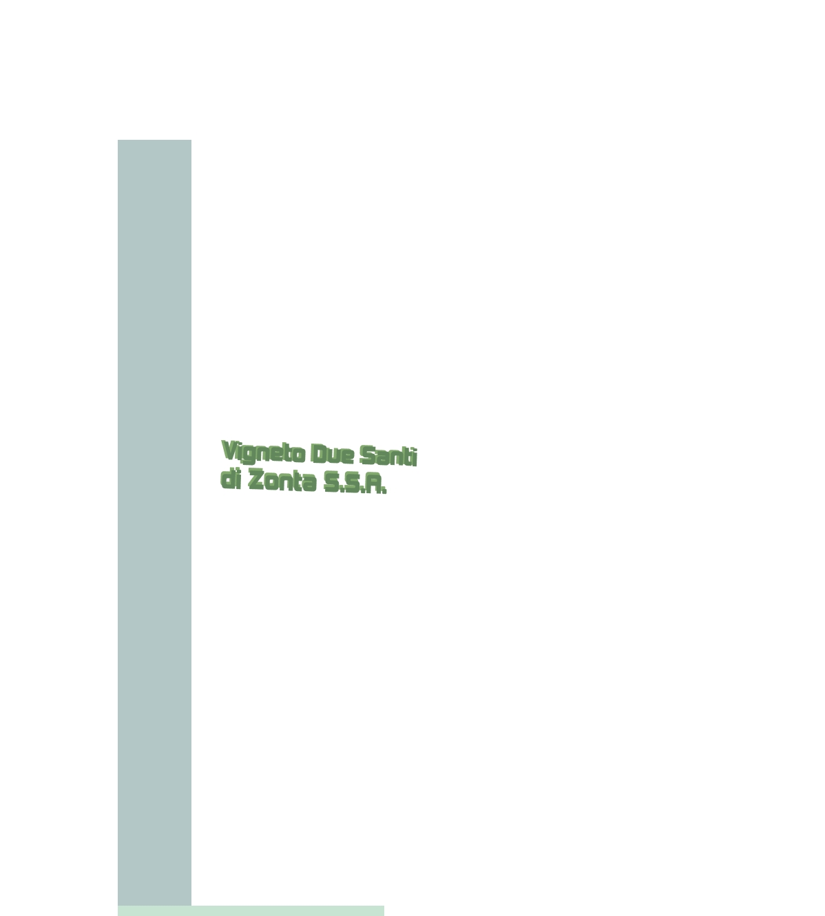 Vigneto Due Santi di Zonta S.S.A.