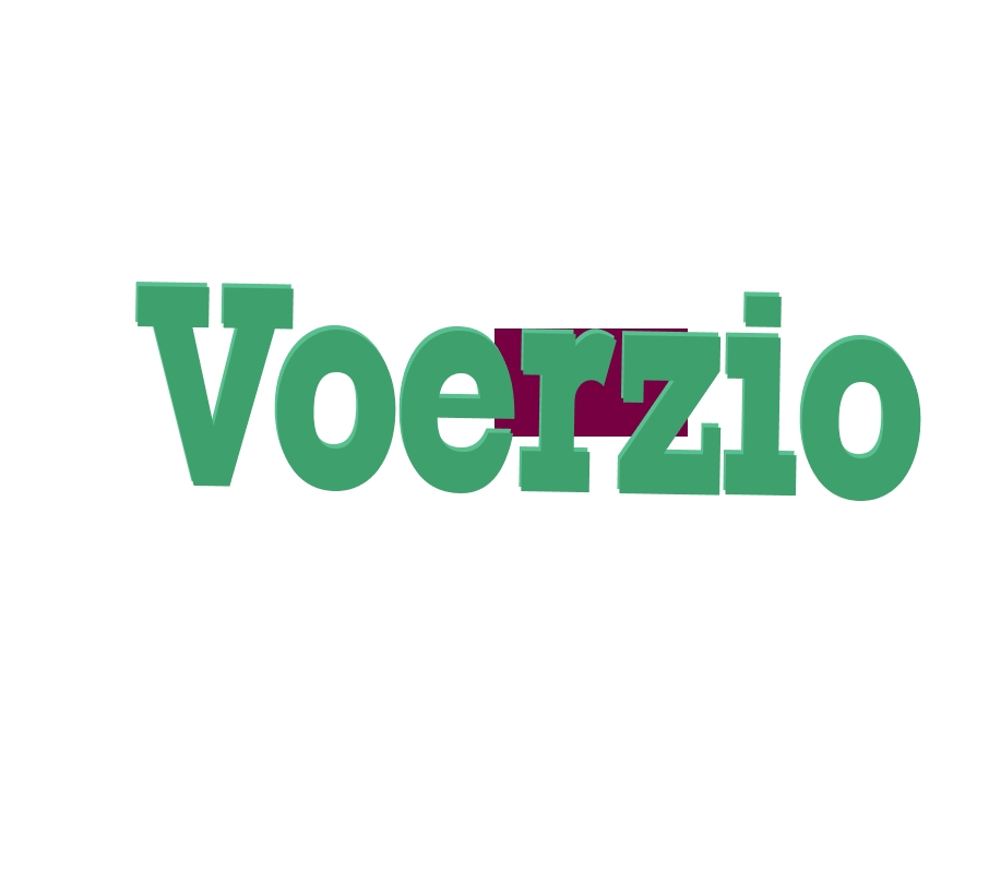 logo Voerzio Roberto