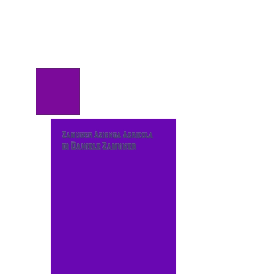Zamuner Azienda Agricola di Daniele Zamuner