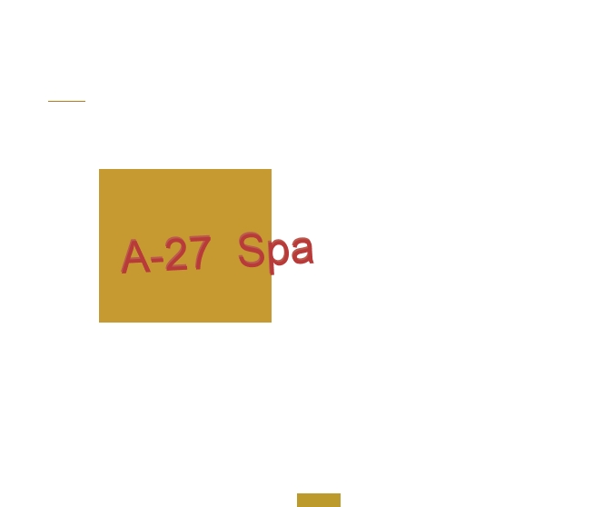 logo A-27 SpA